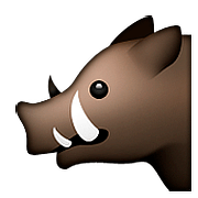 🐗 Emoji Wildschwein Apple iOS 10.0.