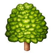 🌳 Emoji árvore Caidiça na Apple iOS 10.0.