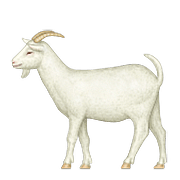 Émoji 🐐 Chèvre sur Apple iOS 10.0.