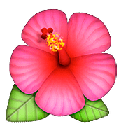 🌺 Emoji Flor De Hibisco en Apple iOS 10.0.