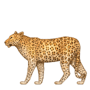 Emoji 🐆 Leopardo su Apple iOS 10.0.