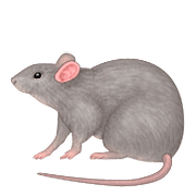 Émoji 🐀 Rat sur Apple iOS 10.0.