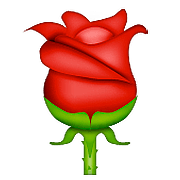 Émoji 🌹 Rose sur Apple iOS 10.0.