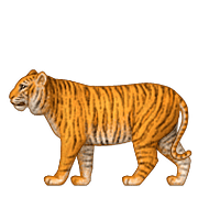 Émoji 🐅 Tigre sur Apple iOS 10.0.