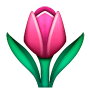 Emoji 🌷 Tulipano su Apple iOS 10.0.