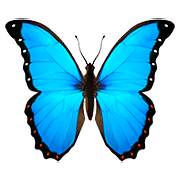 Émoji 🦋 Papillon sur Apple iOS 10.2.