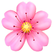 Emoji 🌸 Fiore Di Ciliegio su Apple iOS 10.2.