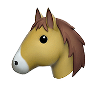 Emoji 🐴 Muso Di Cavallo su Apple iOS 10.2.