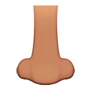 Emoji 👃🏽 Naso: Carnagione Olivastra su Apple iOS 10.2.