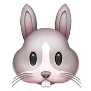 Émoji 🐰 Tête De Lapin sur Apple iOS 10.2.