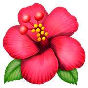 Émoji 🌺 Hibiscus sur Apple iOS 10.3.