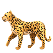 Emoji 🐆 Leopardo su Apple iOS 10.3.
