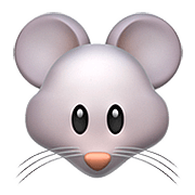 Emoji 🐭 Muso Di Topo su Apple iOS 10.3.