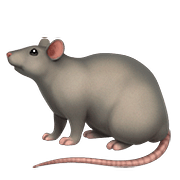 Émoji 🐀 Rat sur Apple iOS 10.3.