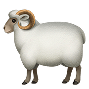 Émoji 🐑 Mouton sur Apple iOS 10.3.