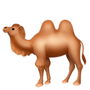 🐫 Emoji Camelo Com Duas Corcovas na Apple iOS 11.2.