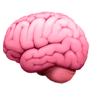 Emoji 🧠 Cervello su Apple iOS 11.2.