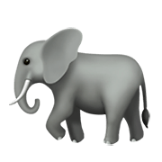 Emoji 🐘 Elefante su Apple iOS 11.2.