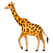 Émoji 🦒 Girafe sur Apple iOS 11.2.