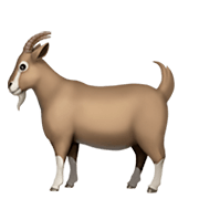 Émoji 🐐 Chèvre sur Apple iOS 11.2.
