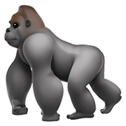 Emoji 🦍 Gorilla su Apple iOS 11.2.