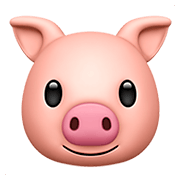 🐷 Emoji Rosto De Porco na Apple iOS 11.2.