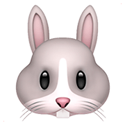 Émoji 🐰 Tête De Lapin sur Apple iOS 11.2.