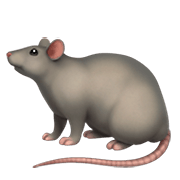 Émoji 🐀 Rat sur Apple iOS 11.2.