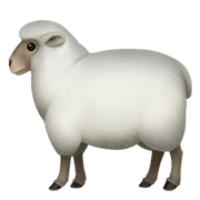 Émoji 🐑 Mouton sur Apple iOS 11.2.
