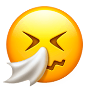 Emoji 🤧 Faccina Che Starnutisce su Apple iOS 11.2.