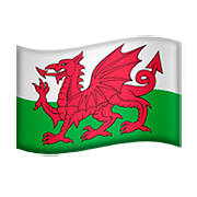 🏴󠁧󠁢󠁷󠁬󠁳󠁿 Emoji Bandeira: País De Gales na Apple iOS 11.3.