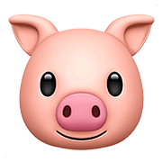 🐷 Emoji Cara De Cerdo en Apple iOS 11.3.