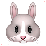 Émoji 🐰 Tête De Lapin sur Apple iOS 11.3.