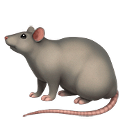 Émoji 🐀 Rat sur Apple iOS 11.3.