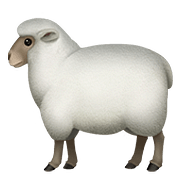 Émoji 🐑 Mouton sur Apple iOS 11.3.