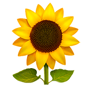 🌻 Emoji Sonnenblume Apple iOS 11.3.