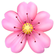 🌸 Emoji Kirschblüte Apple iOS 12.1.
