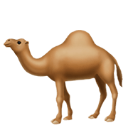 🐪 Emoji Camelo na Apple iOS 12.1.