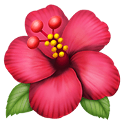Émoji 🌺 Hibiscus sur Apple iOS 12.1.