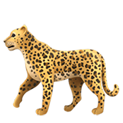 🐆 Emoji Leopardo en Apple iOS 12.1.