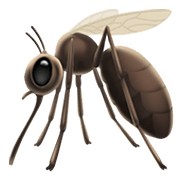 🦟 Emoji Mosquito en Apple iOS 12.1.