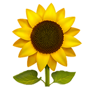 🌻 Emoji Sonnenblume Apple iOS 12.1.
