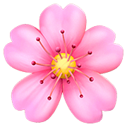 🌸 Emoji Flor De Cerezo en Apple iOS 13.2.