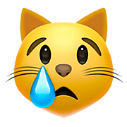 Émoji 😿 Chat Qui Pleure sur Apple iOS 13.2.