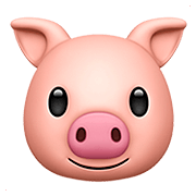 🐷 Emoji Cara De Cerdo en Apple iOS 13.2.