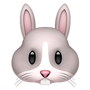 Émoji 🐰 Tête De Lapin sur Apple iOS 13.2.