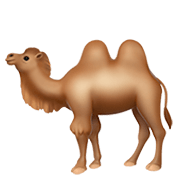 🐫 Emoji Camello en Apple iOS 13.3.