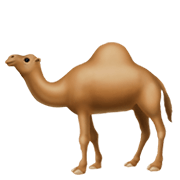 🐪 Emoji Camelo na Apple iOS 13.3.