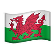 🏴󠁧󠁢󠁷󠁬󠁳󠁿 Emoji Bandeira: País De Gales na Apple iOS 13.3.