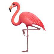 🦩 Emoji Flamingo na Apple iOS 13.3.